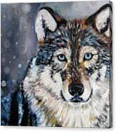 Kodiak Wolf Canvas Print