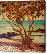 Kohala Coast Canvas Print