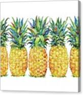 Kona Pineapple Horizontal Canvas Print