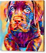 Labrador Puppy 4 Canvas Print
