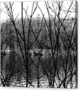 Lake Through Tree Canvas Print
