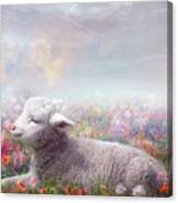 Lamb Of God Canvas Print