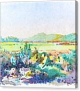 Landscape, Dalmatia, 1938 Canvas Print