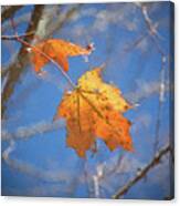 Last Leaves - Autumn Memoir Canvas Print