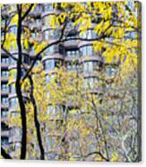 Late Autumn - A Murray Hill Impression Canvas Print