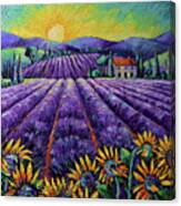 Lavender Fields And Sunflowers - Lights Of Provence Palette Knife Oil Painting Mona Edulesco Canvas Print