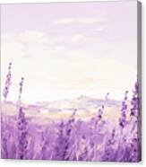 Lavender Fields Canvas Print