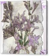 Lavender Lilac Fossil Floral Design Canvas Print