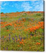 Layers Of Loveliness - Superbloom 2019 Canvas Print