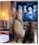 Lazy Cat Afternoon With The Beatles Canvas Print