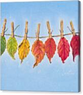 Leaf It Out To Dry Canvas Print