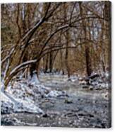 Leaning Over Galloway Creek Canvas Print