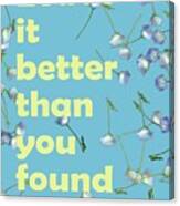 Leave It Better Than You Found It - Baby Blue Eyes Canvas Print