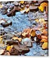 Leaves In The Stream Canvas Print