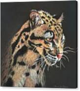 Leopard Spots Canvas Print