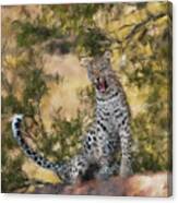 Leopard Watching Canvas Print