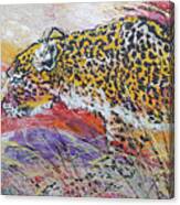 Leopard's Gaze Canvas Print