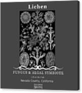 Lichen Canvas Print