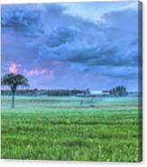 Light Fog Forming Over The Farm Canvas Print