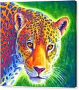 Light In The Rainforest - Jaguar Canvas Print