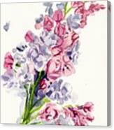 Lilac Blossom Canvas Print
