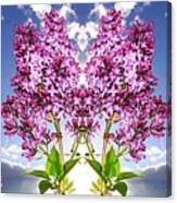 Lilac Radiance Canvas Print