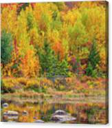 Lily Pond In The New Hampshire White Mountains Canvas Print