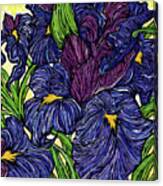 Lines Of The Iris Canvas Print