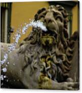 Lion Spitting Water In Naples, Italy Canvas Print