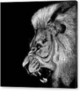 Lion's Fury Canvas Print