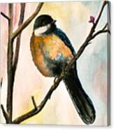 Little Bird 8 Canvas Print