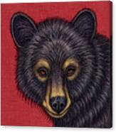 Little Black Bear Canvas Print