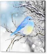 Little Blue Bird In Winter Canvas Print