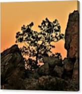 Little Oak Tree On Cliff At Sunset Canvas Print