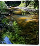 Little Piney Creek 1 Canvas Print