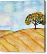 Lone Oak Canvas Print