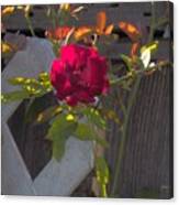 Lone Red Rose Canvas Print