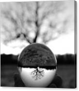 Lone Tree Lensball B W Canvas Print