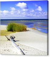 Lonely Beach Canvas Print