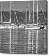 Boats Casting Long Reflection On San Diego Harbor Monochrome Canvas Print