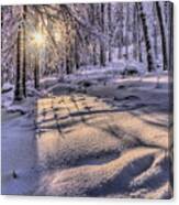 Long Shadows In The Snow Canvas Print
