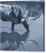 Longhorn Cow In Water Print In Black And White Canvas Print