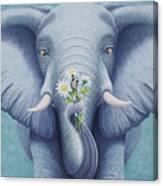 Look Who's Got Flowers Canvas Print