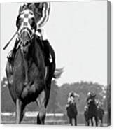 Looking Back, 1973,  Secretariat, Stretch Run, Belmont Stakes Canvas Print