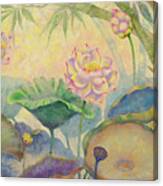 Lotus. First Touch Of Sunlight Canvas Print