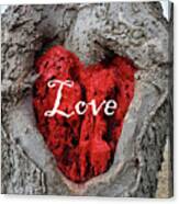 Love Red Heart In A Tree Canvas Print