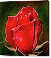 Lovely Artistic 2 Red Rose Canvas Print