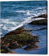 Low Tide Lovely Canvas Print