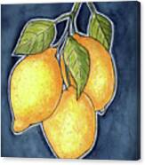 Luscious Lemons Canvas Print