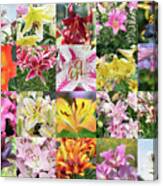 Luscious Lilies Canvas Print